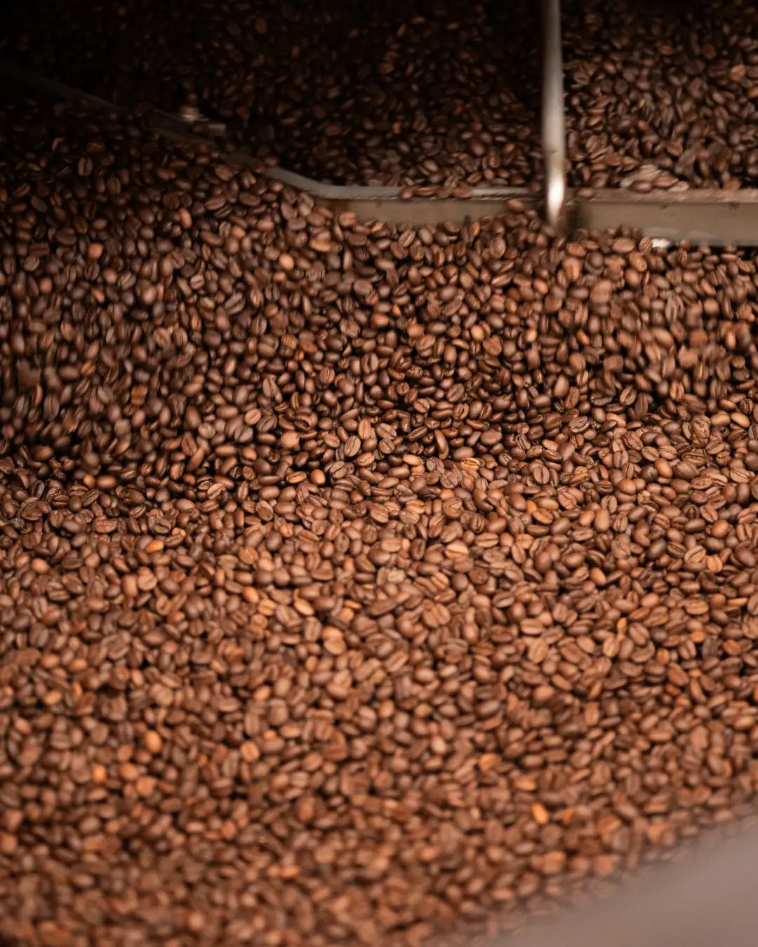 Coffee beans during the roasting process