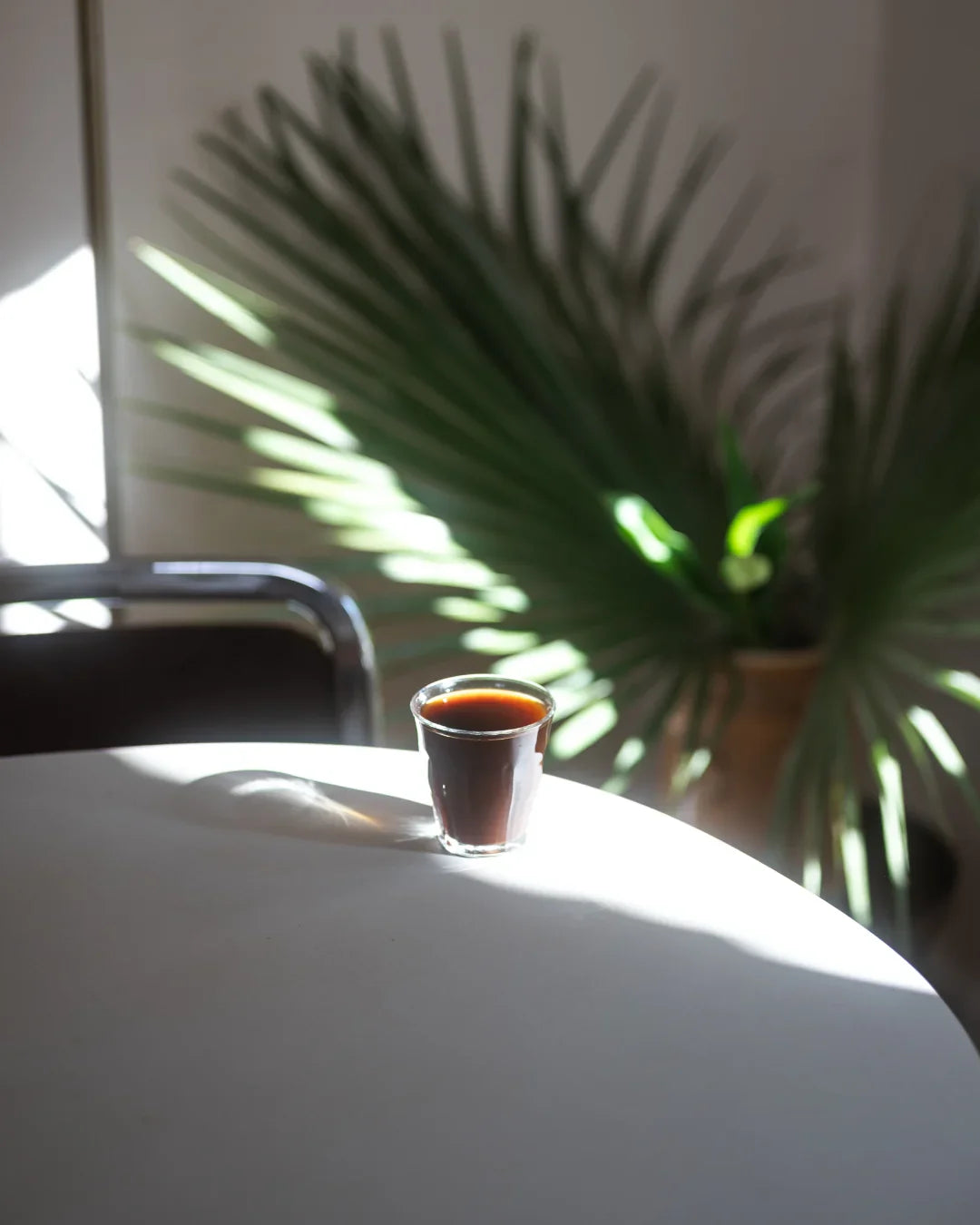 Cold Brew selbst machen: Einfache Anleitung für zuhause